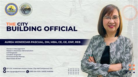 DEPARTMENT OF THE BUILDING OFFICIAL .